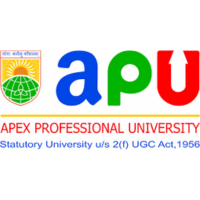 Apex Professional University