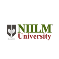 NIILM University