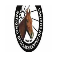 National Research Centre on Equines, Hisar