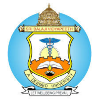 Sri Balaji Vidyapeeth