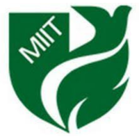 Meerut International Institute of Technology